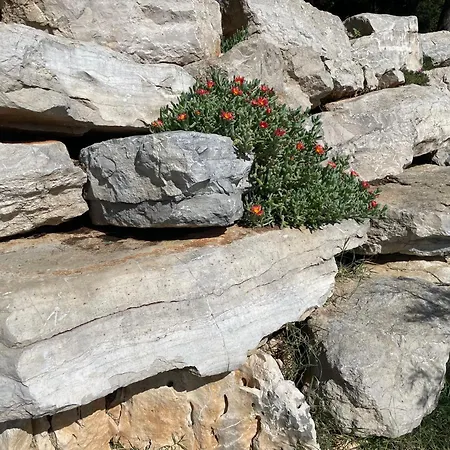 Istarska Poreč