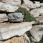 Istarska Porec